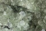 Green Cubic Fluorite Crystal Cluster on Matrix - China #323070-1